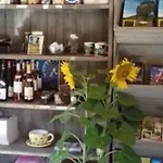 Mobil-home 4 Pers Avec Terrasse Au Les Tournesols - Api-1-52-489 * Crissé