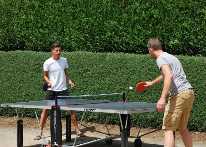 Mobil-home 4 Pers Avec Terrasse Au Les Tournesols - Api-1-52-489